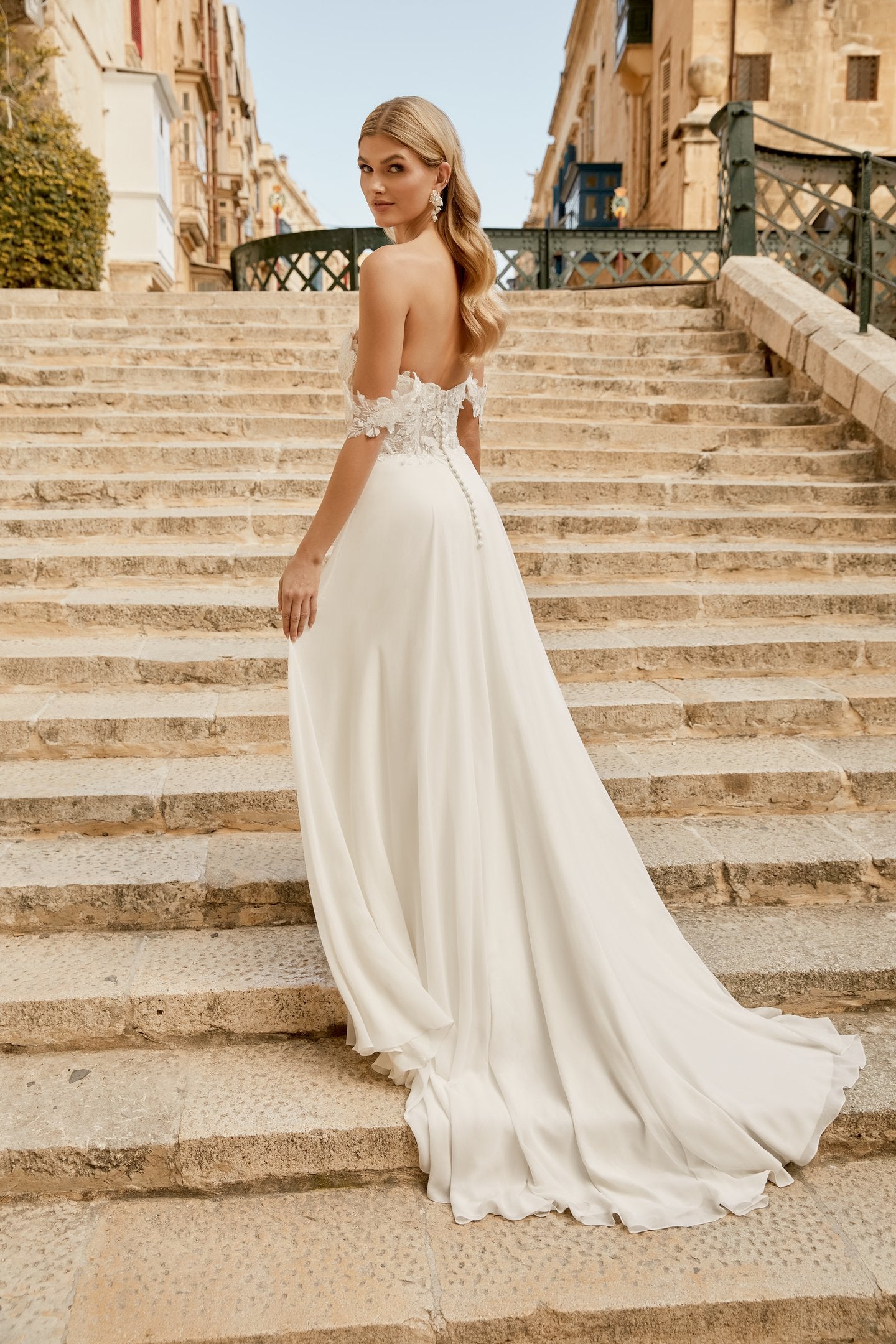 Chiffon A-Line Gown with Embroidered Lace and 3D Appliques