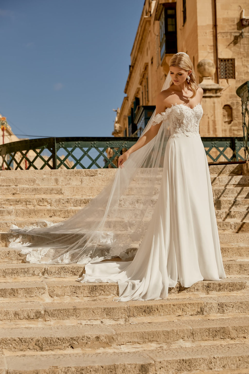 Chiffon A-Line Gown with Embroidered Lace and 3D Appliques