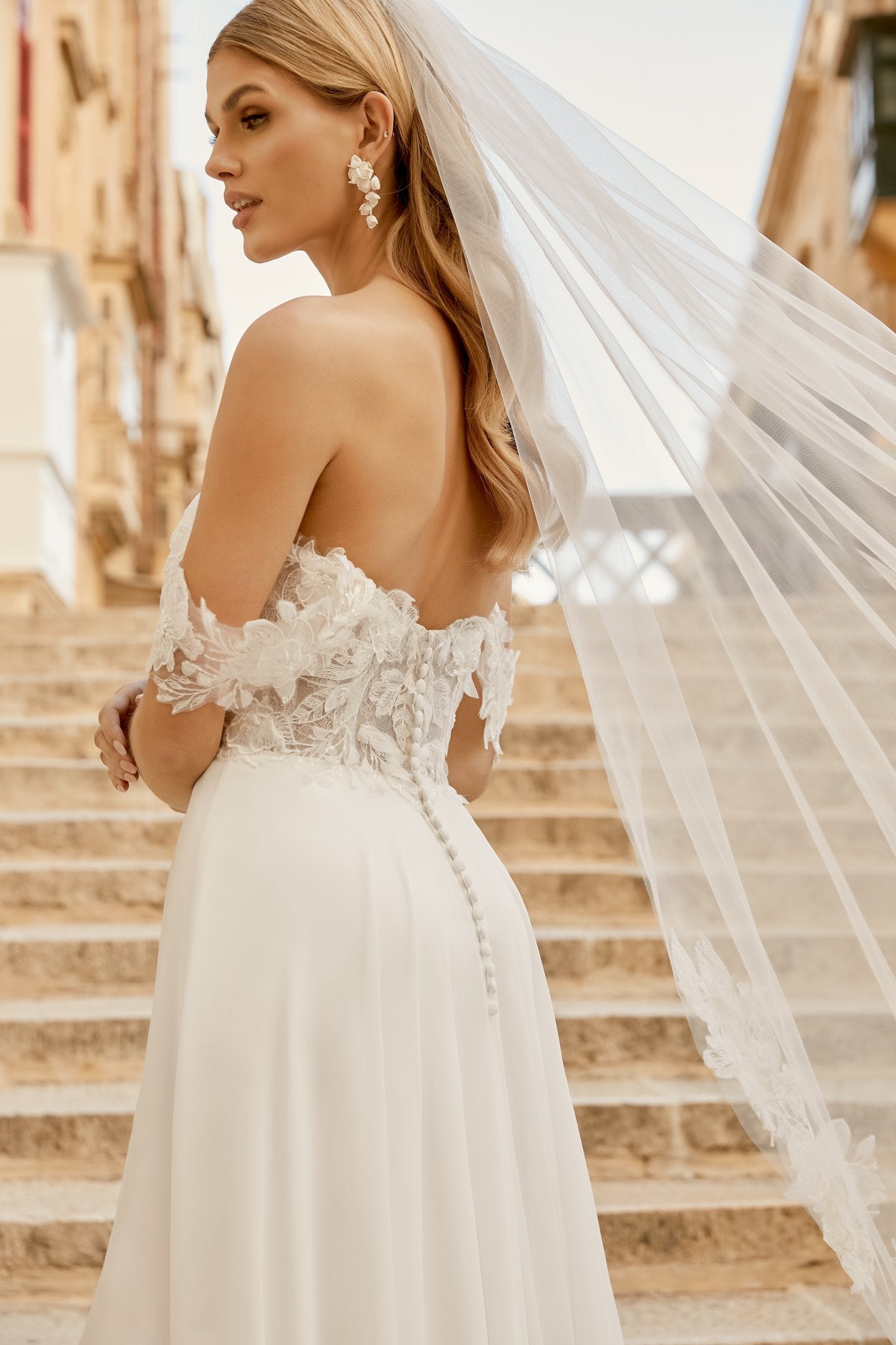 Chiffon A-Line Gown with Embroidered Lace and 3D Appliques